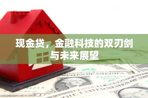 沿滩现金贷，金融科技的双刃剑与未来展望