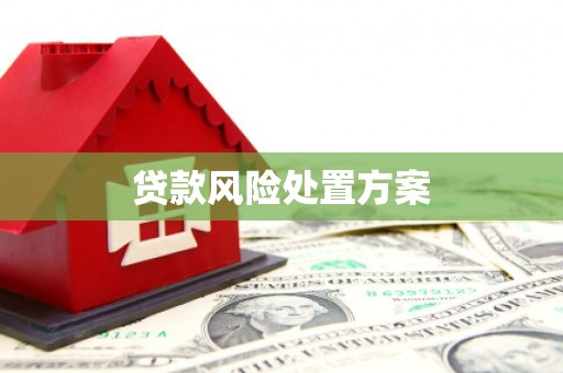 沿滩贷款风险处置方案