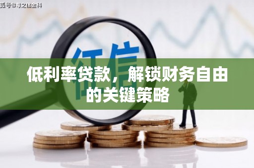沿滩低利率贷款，解锁财务自由的关键策略