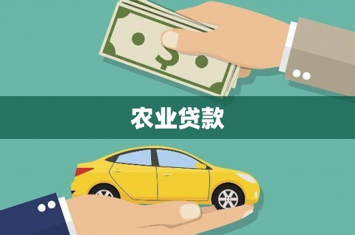 沿滩农业贷款