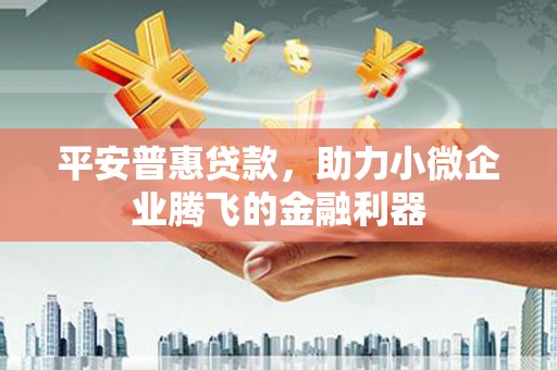 沿滩平安普惠贷款，助力小微企业腾飞的金融利器