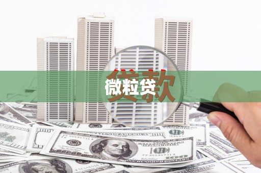 沿滩微粒贷