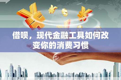 沿滩借呗，现代金融工具如何改变你的消费习惯
