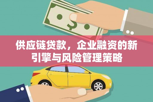 沿滩供应链贷款，企业融资的新引擎与风险管理策略