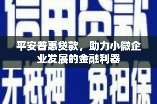 沿滩平安普惠贷款，助力小微企业发展的金融利器