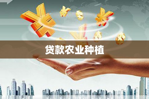 沿滩贷款农业种植