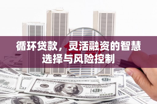 沿滩循环贷款，灵活融资的智慧选择与风险控制