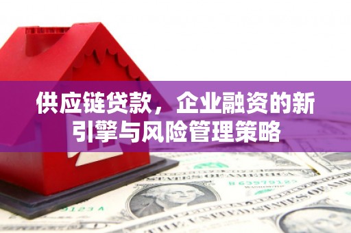 沿滩供应链贷款，企业融资的新引擎与风险管理策略