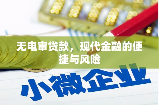 沿滩无电审贷款，现代金融的便捷与风险