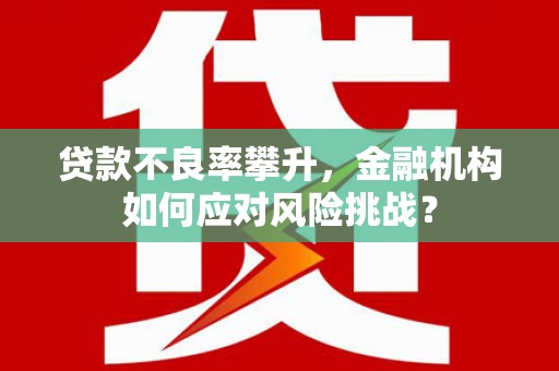 沿滩贷款不良率攀升，金融机构如何应对风险挑战？