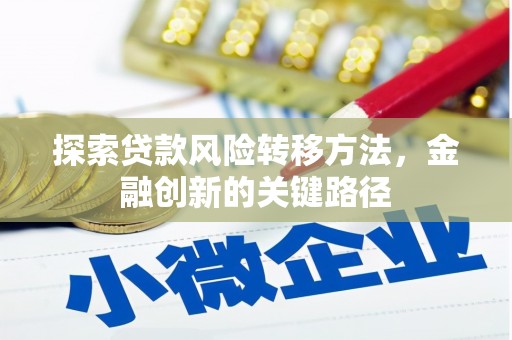 沿滩探索贷款风险转移方法，金融创新的关键路径