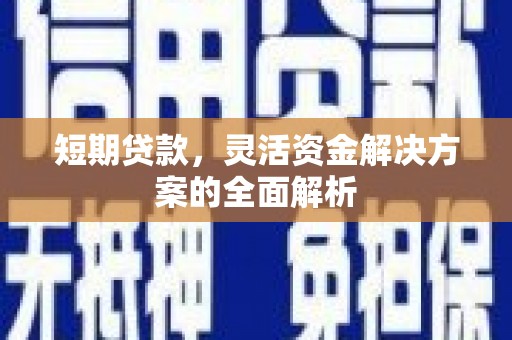 沿滩短期贷款，灵活资金解决方案的全面解析