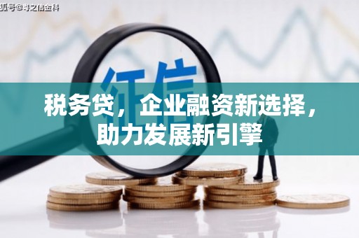 沿滩税务贷，企业融资新选择，助力发展新引擎