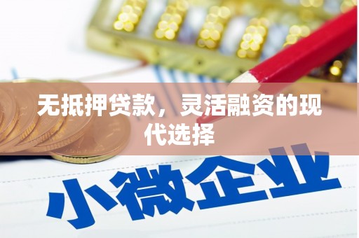 沿滩无抵押贷款，灵活融资的现代选择