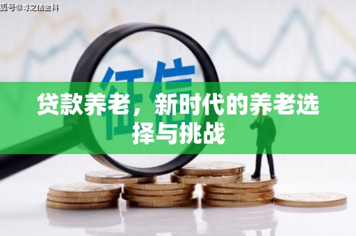 沿滩贷款养老，新时代的养老选择与挑战