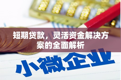 沿滩短期贷款，灵活资金解决方案的全面解析