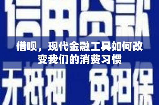 沿滩借呗，现代金融工具如何改变我们的消费习惯