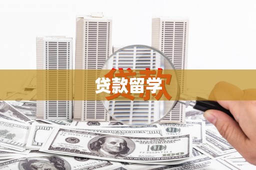 沿滩贷款留学