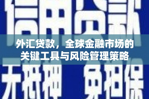 沿滩外汇贷款，全球金融市场的关键工具与风险管理策略