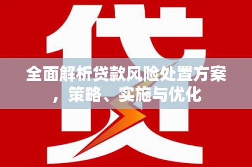 沿滩全面解析贷款风险处置方案，策略、实施与优化