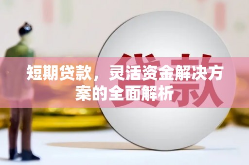 沿滩短期贷款，灵活资金解决方案的全面解析
