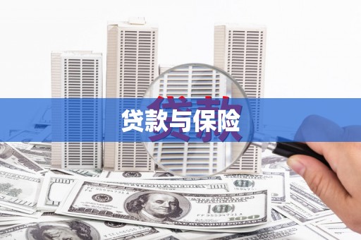 沿滩贷款与保险