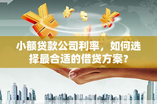 沿滩小额贷款公司利率，如何选择最合适的借贷方案？