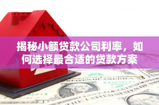沿滩揭秘小额贷款公司利率，如何选择最合适的贷款方案