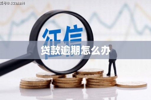 沿滩贷款逾期怎么办