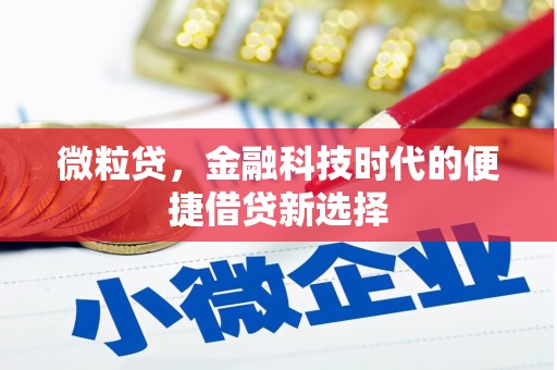 沿滩微粒贷，金融科技时代的便捷借贷新选择