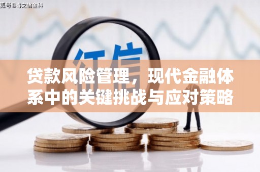 沿滩贷款风险管理，现代金融体系中的关键挑战与应对策略