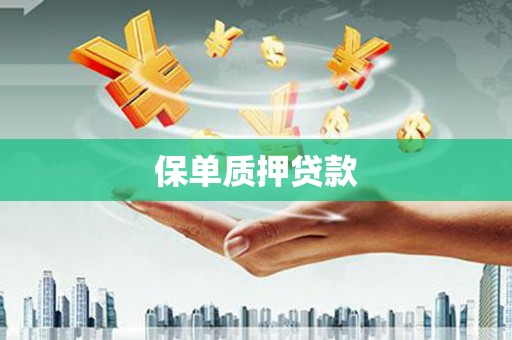 沿滩保单质押贷款