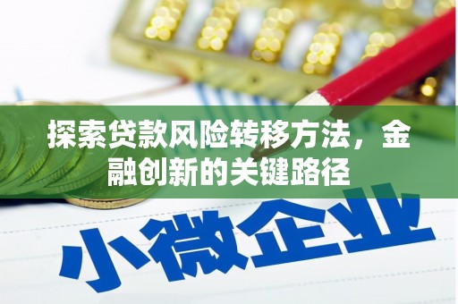 沿滩探索贷款风险转移方法，金融创新的关键路径