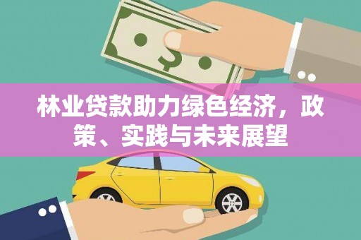 沿滩林业贷款助力绿色经济，政策、实践与未来展望