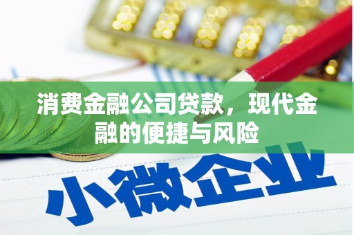 沿滩消费金融公司贷款，现代金融的便捷与风险
