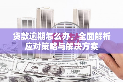 沿滩贷款逾期怎么办，全面解析应对策略与解决方案