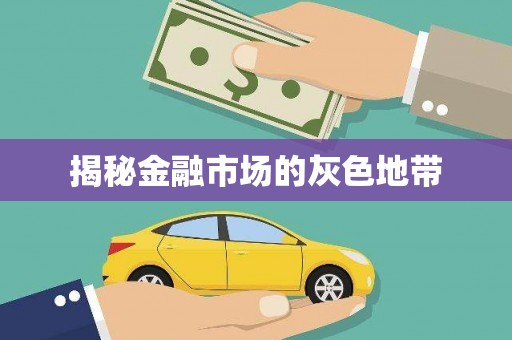 沿滩揭秘金融市场的灰色地带