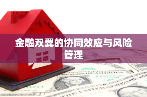 沿滩金融双翼的协同效应与风险管理