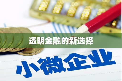 沿滩透明金融的新选择