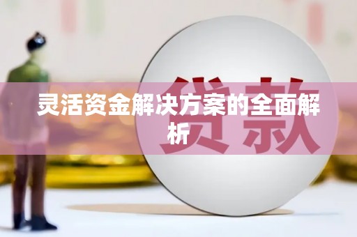 沿滩灵活资金解决方案的全面解析